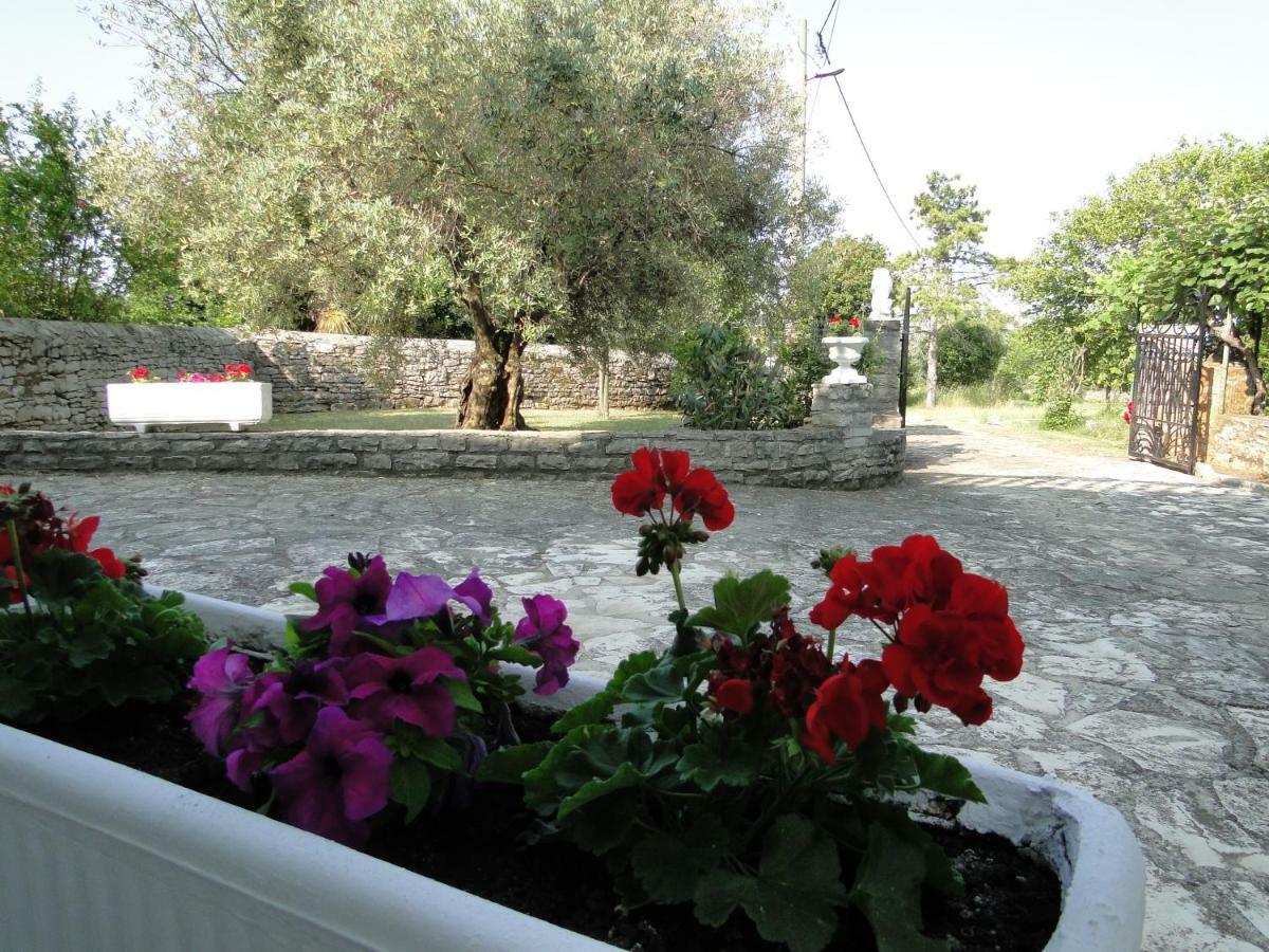 אומאג Apartments Villa Maran מראה חיצוני תמונה